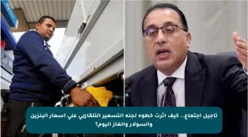 تأجيل اجتماع.. كيف أثرت خطوة لجنة التسعير التلقائي على أسعار البنزين والسولار والغاز اليوم؟